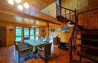 Vila + Afacere 15.000mp Clinceni - 11