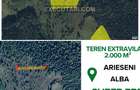 Teren extravilan - 2.000 m², Arieseni - 6