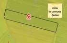 TEREN EXTRAVILAN  in Seitin,  4 hectare de vanzare,  ZERO COMISION - 2