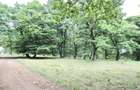 Teren de vanzare 4713 mp investitie | Poiana Brasov - 2