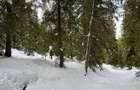 Teren intravilan cu panorama - statiunea Muntele Baisorii - 1