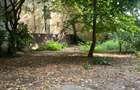 QG894 - APARTAMENT 2 CAMERE | ULTRACENTRAL | VILĂ | RECENT RENOVAT | 450 €/LUNĂ - 12