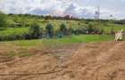 Vânzare teren intravilan 1,200mp Oradea, zona Doja - Hanul Pescarilor - 2
