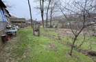 Teren 2.038 mp + Casă 50 mp de vânzare – Sat Luncsoru, Com. Ghercești - 20