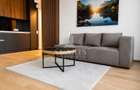 Apartament cu 2 camere, open space, zona Take Ionescu - 1