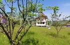 Casa de vanzare cu teren 2000 mp 5 camere  Sura Mare Hamba Sibiu - 2