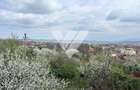 Teren de vanzare - Saliste - Intravilan  -  430 MP - 5