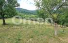 Teren de vânzare | Suprafață 10.040 mp | 2.500 € / ar | Strada Nucului - 5
