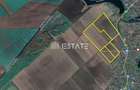 Teren intravilan, 40 ha, pretabil parc fotovoltaic /logistic - 29km de Bucuresti - 2