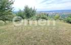 Teren de vânzare | Suprafață 10.040 mp | 2.500 € / ar | Strada Nucului - 2