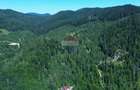 Teren 120.000 mp Sucevița – oportunitate de investiție în turism - 10