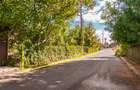 Otopeni - Teren 863MP, dubla deschidere Casa renovabila 56MP - 8