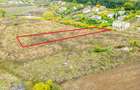 Teren 3000 mp în Snagov – zonă in dezvoltare, aproape de pădure - 13