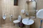 Cabana cu 5 dormitoare, 250 mpu, 700 teren la Ranca - 7