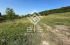 Teren Extravilan - 10'000 Mp - Valea Budacului (Bistrita) - 2