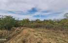Snagov-Lac - 8