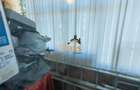 Apartament 3 camere | 65mpu | zona Rapsodiei Zorilor
