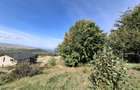 Comision 0. Teren cu autorizatie de construire in Salicea - 5