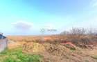 Descoperă Daia: Teren Intravilan 1000mp cu Vedere Superbă - 2