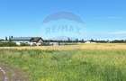Vanzare Teren Intravilan Padure Izvorani (prin) Strada Florilor - 3