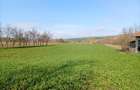 Vanzare teren intravilan parcelabil, in localitatea Rascruci - 1