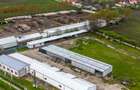Hale depozitare/producție 2.000 mp si 10.000 mp teren în Pecica - 3