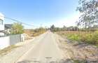 Proprietar - Investiție sigură – 5.000 mp intravilan între case, Periș - 15€/mp - 3