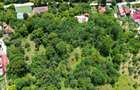Vila Vintilă 1935 – proprietate de epocă cu 9.770 m² teren intravilan în Nucet,  - 6