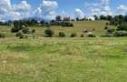 INVESTIȚIE | Teren 5000 mp PUZ APROBAT intravilan - zona Sohodol -Bran - 8