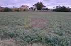 DE VANZARE TEREN 2000 MP  -  COSERENI( il ) - 13