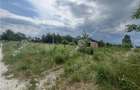 Teren curti constructii de 500 mp in Daia pretabil investitie - 4