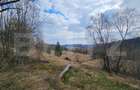 Teren 22.267 mp (intravilan + extravilan) cu construcție, Trâncești, Scărișoara - 1