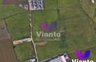 Comision 0% teren intravilan 4000 mpu zona industriala Vest - 3