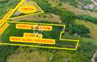 Teren intravilan 10.000 mp în Rediu Aldei (Aroneanu) - 4
