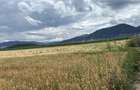 BRASOV,Teren agricol 19.600 mp, 1,96 ha/ Săcele,Front stradal 56 ml,Investiție - 1