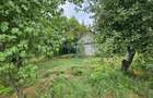 Teren intravilan 2,036mp Pădureni-Șendriceni, Botoșani - 5