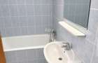 Inchiriere 2 camere Stefan cel Mare - 5