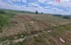Teren intravilan de 743 mp in Mosnita Veche - 4
