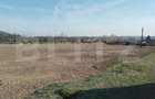 Teren intravilan cu suprafață de 9ha, Aninoasa - 6