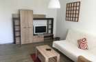 Apartament de 2 camere spre vanzare - Arcul de Triumf - Averescu - 2
