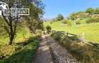TEREN INTRAVILAN MAGURA-LANGA BRAN - SUPRAFATA GENEROASA - 3