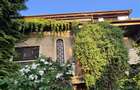 2 apartamente in vila, Turda - Ion Mihalache - 16