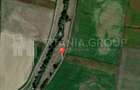 Teren de 8700 mp - extravilan - Bod, Brasov - 7