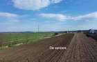 Teren Intravilan 3498 mp Tisauti  Suceava 0727817187 - 6