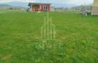 Grădină 862 mp cu cabanuta și pomi fructiferi – între Tălmaciu și Sadu - 11
