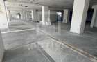 Spatiu comercial // Intre Lacuri  - 5