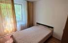 Dristor apartament 2 camere mobiliat si utilat - 10