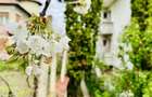 Vilă 4 familii | Apartament + mansardă | Curte 98 mp - 45