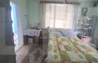 Casa 100 mp cu teren 1200 mp - Comuna Roma - 4