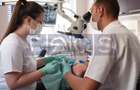 VANZARE SPATIU COMERCIAL- CLINICA DENTARA | ZONA VITAN - 12
